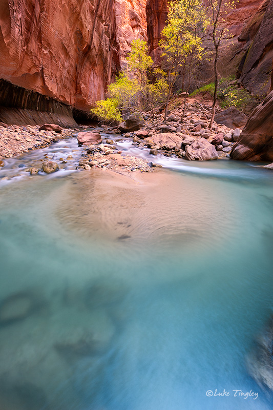 Backcountry,Fall, Narrows,Southwest Trip,Zion National Park, Utah, UT, Canyons