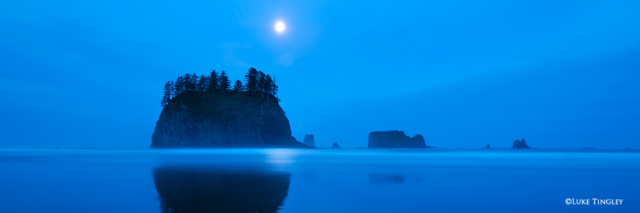 Second Beach, Beach, Washington, WA