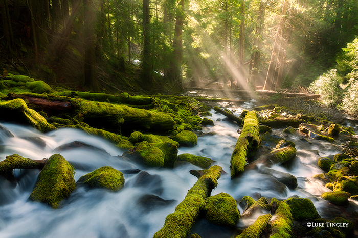 light beams, three sisters wilderness, moss, waterfalls, streams