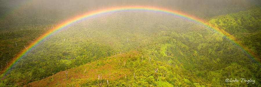 Heli,Helicopter Flight,Kauai,Mid-Day,Napali Coast,Princeville,Rain, Rainbow, Doors Off, Hawaii