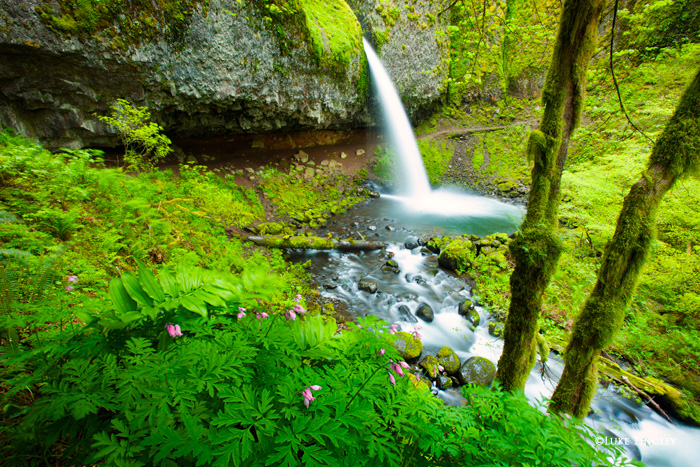 Ponytail Falls, Columbia River Gorge, OR