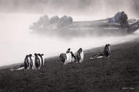 Deception Island