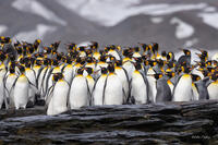 Huddle