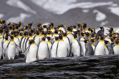 Huddle