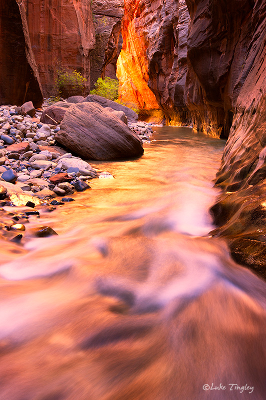 Backcountry,Fall, Narrows,Southwest Trip,Zion National Park, Utah, UT, Canyons