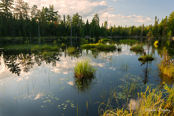 BWCA, Boundary Water Canoe Area, Northern Minnesota, Minnesota, Summer, Sunset, Backcountry