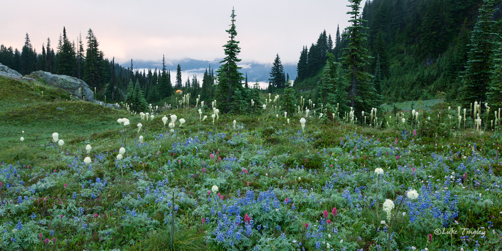 Evening camp, backcountry off the Wonderland Trail.