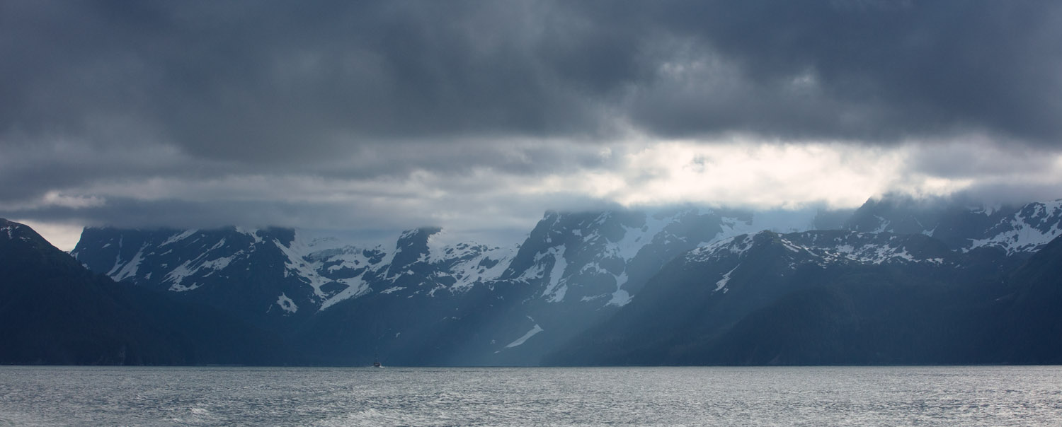 2022, Alaska, Alaska Saltater Tours, Dall's Porpoise, Deckhand Brooke, Evan, Glaciers, Humbpack, Kenai Fjords National Park, Noah, Ocean, Orcas, Pilot Stan, Sealions, Seward, Stellar Explorer