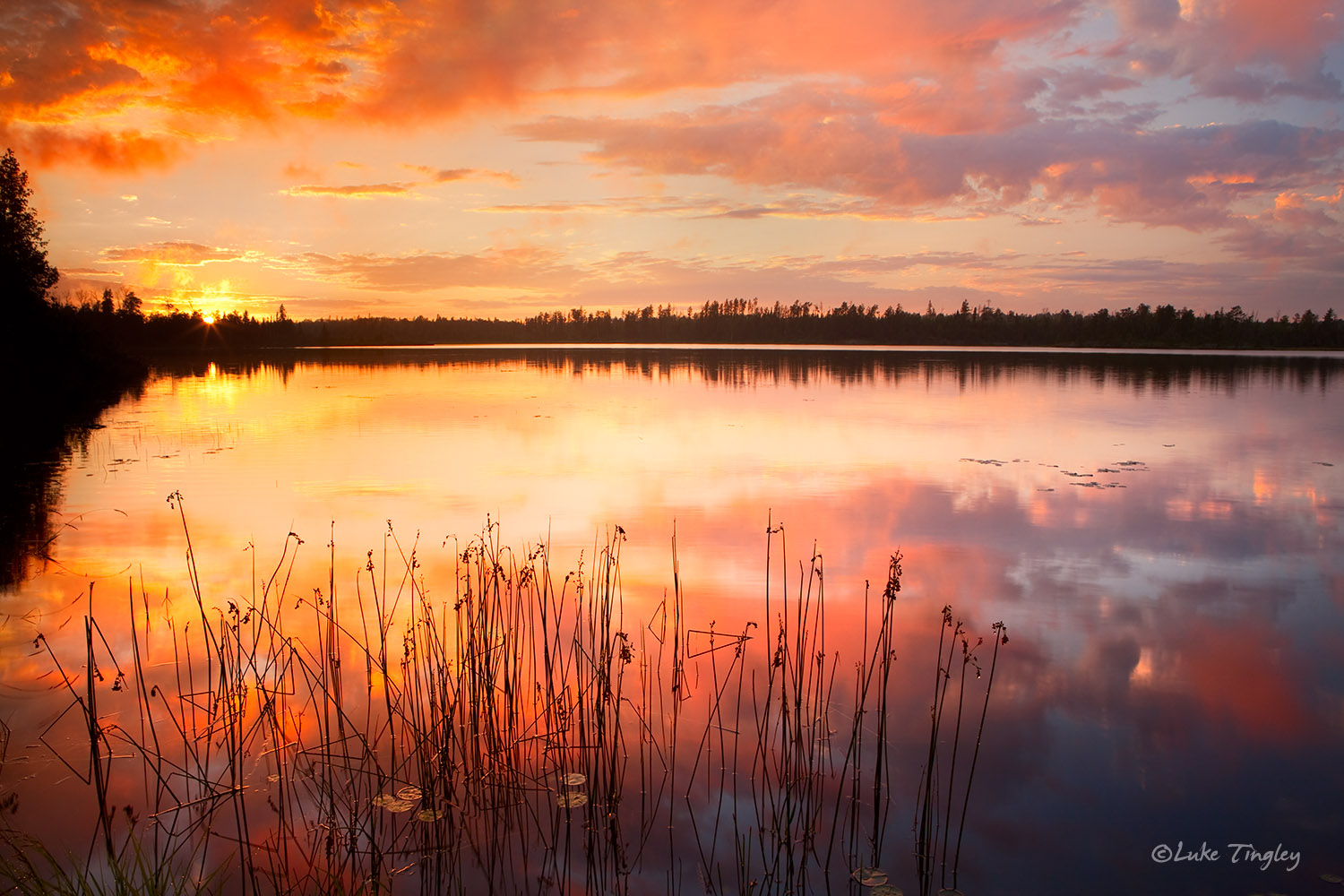 Northern Minnesota, Backcountry, Lake, sunset, reeds, reflection, united states, midwest, north woods, MN