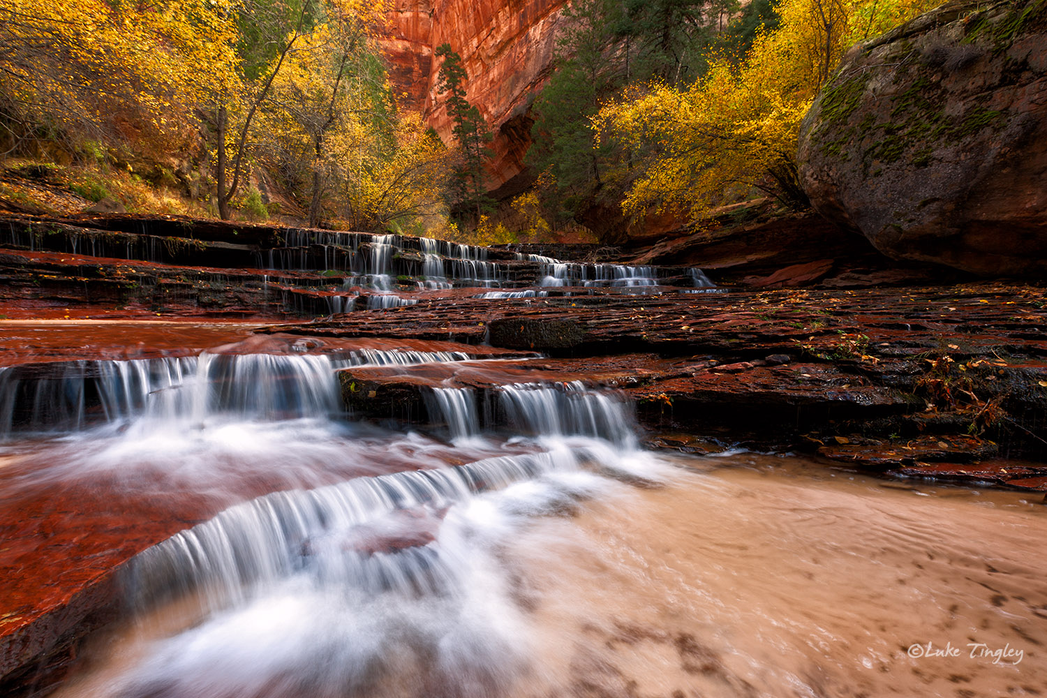 Backcountry,Fall, Left Fork, Subway,Southwest Trip,Zion National Park, Utah, UT, Canyons