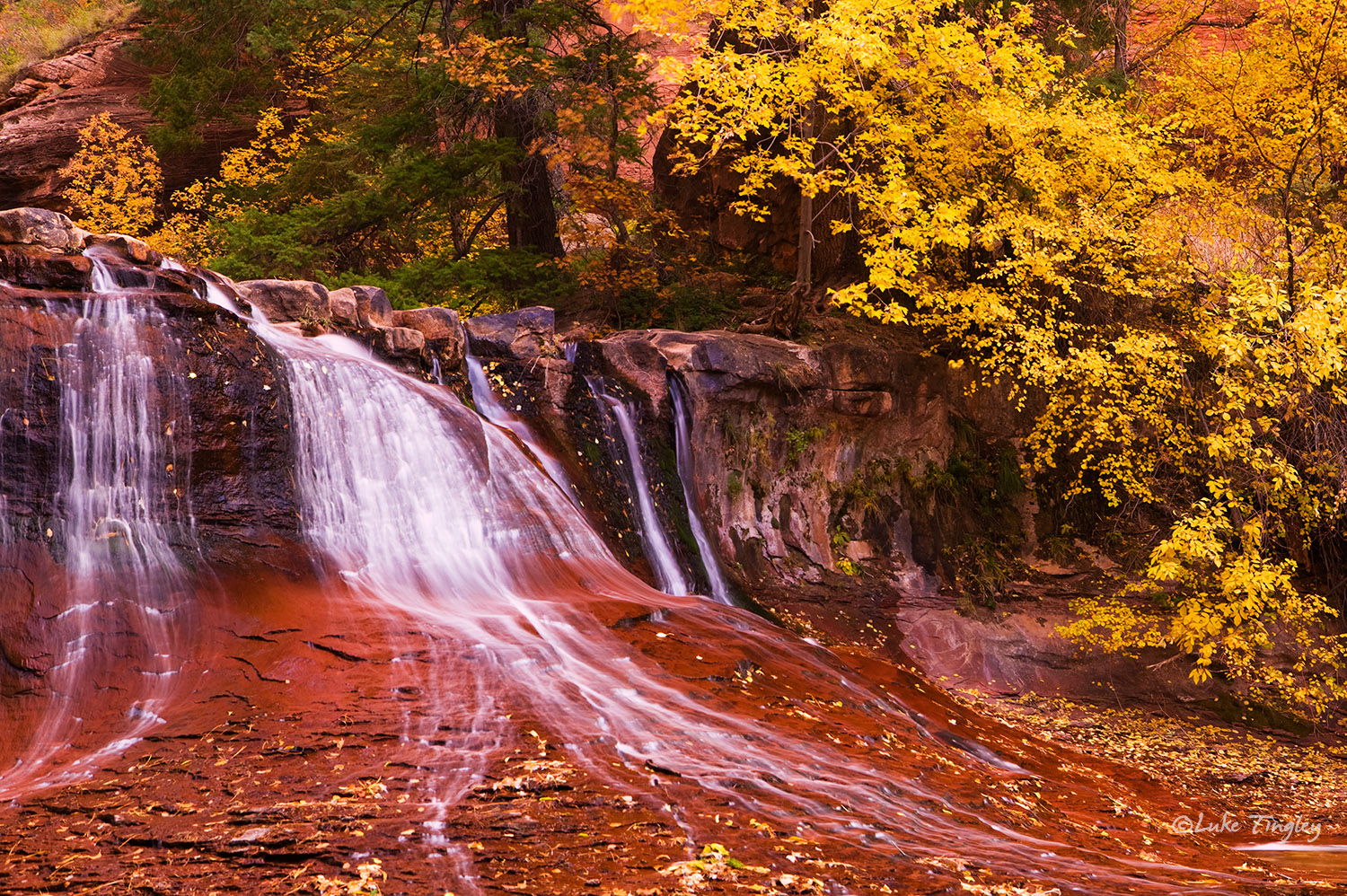 Backcountry, Zion National Park, Utah, waterfall, fall, autumn, yellow, sandstone, canyon, southwest, canyonlands, united states...