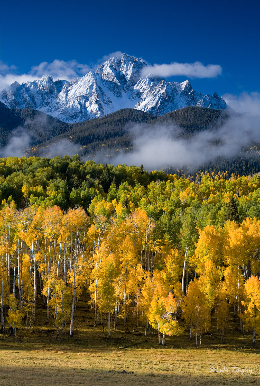 Mt. Sneffels Wilderness, Colorado, Fall, aspens, leaves, yellow, clouds, morning, rocky mountains, san juans, san juan mountains...