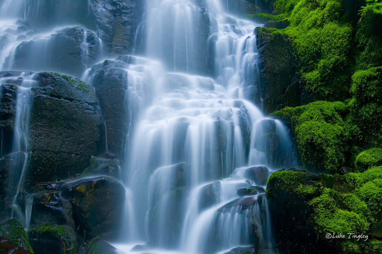 Columbia River Gorge, Oregon, waterfalls, moss, forest, united states, gorge, Columbia river, pacific northwest, PNW, OR