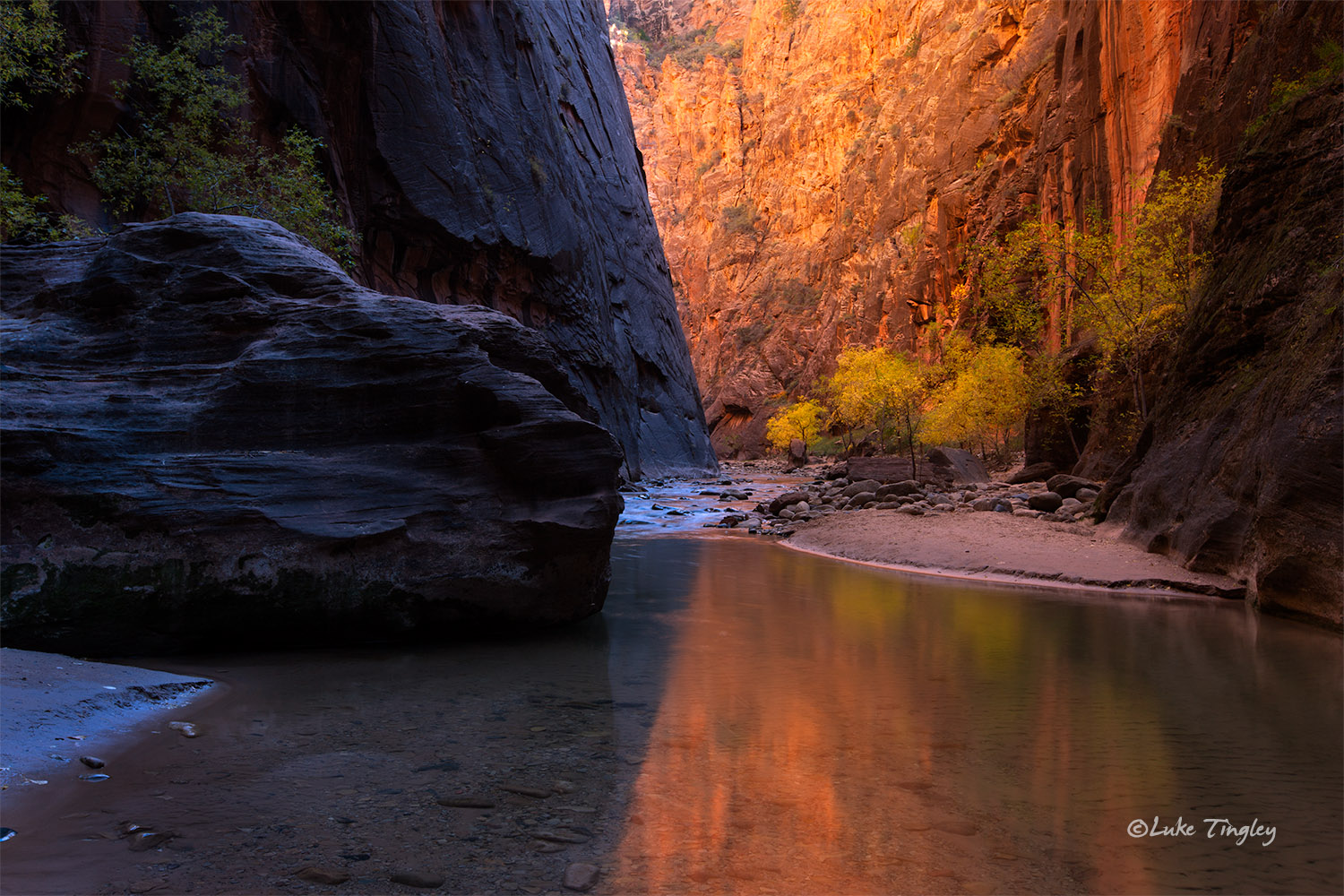 Backcountry,Fall, Narrows,Southwest Trip,Zion National Park, Utah, UT, Canyons