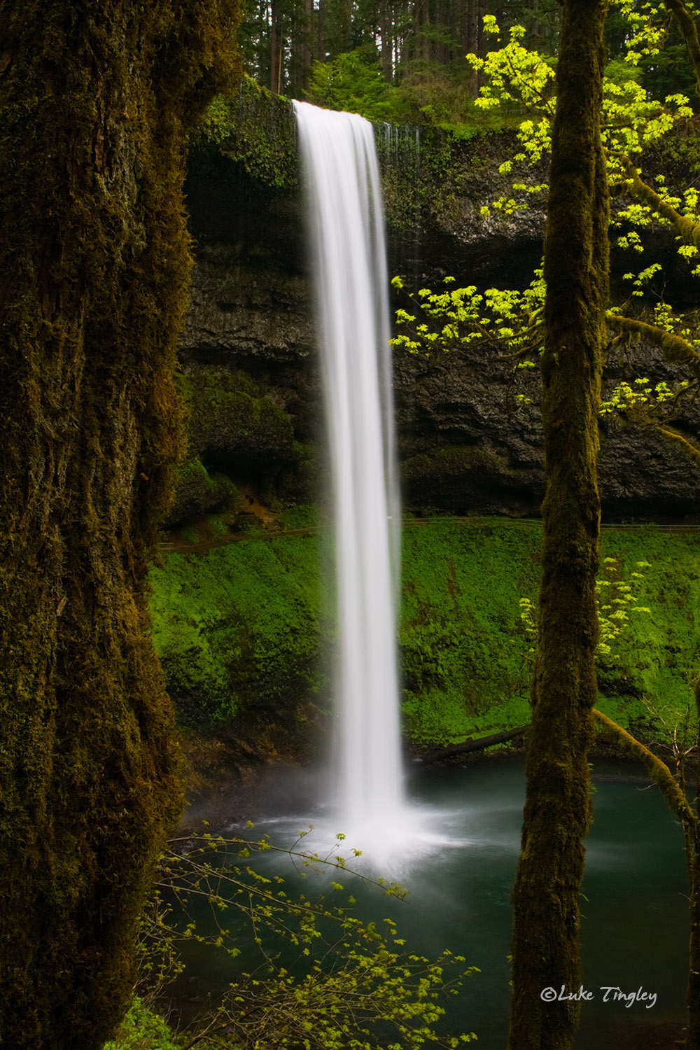 Silver Falls State Park, Salem, Oregon, waterfalls, spring, north falls, trees, green, Pacific Northwest, PNW, OR