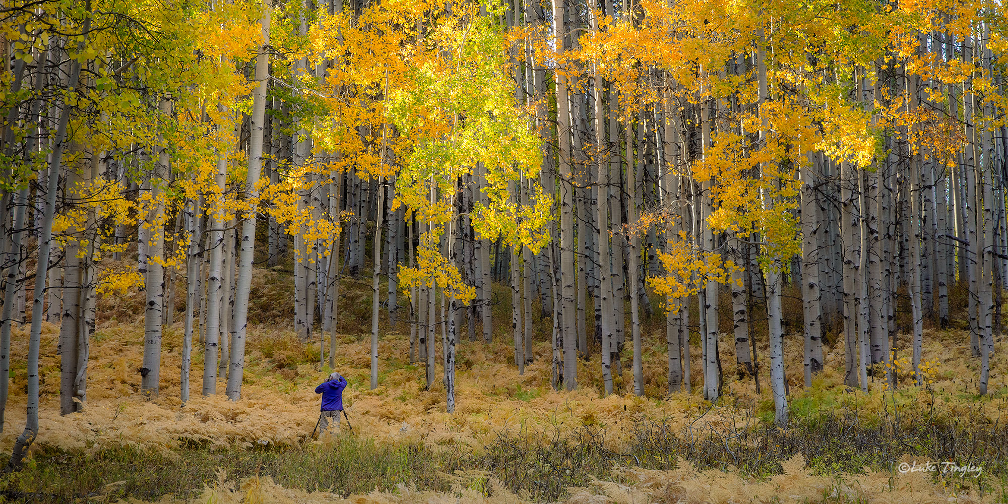 One of my good friends enjoying fall colors.