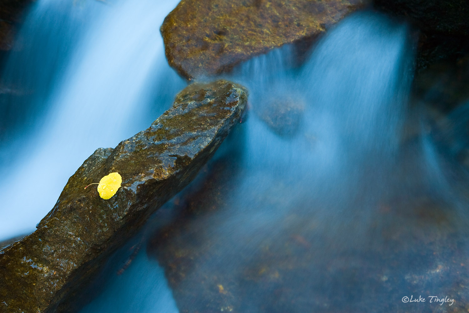 Lost Lake Slough, Colorado, Fall, Aspen leaves, rocks, water, blue, yellow, united states, CO