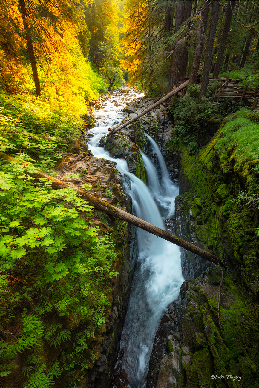 2018, Sol Duc Falls, Washington