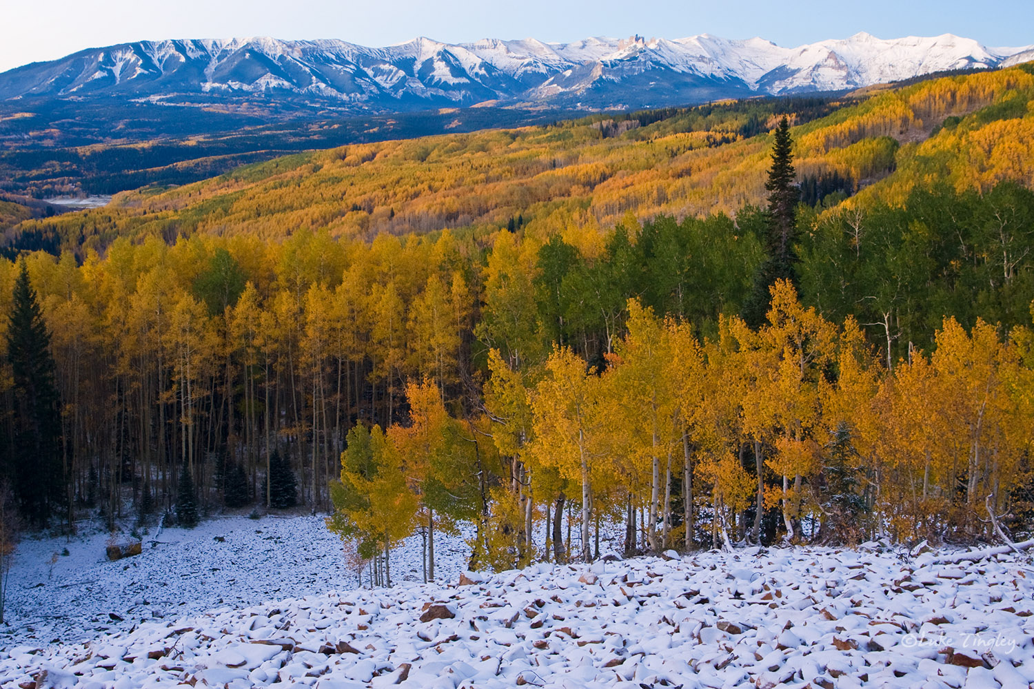 Kebler Pass, Colorado, Snow, fall, winter, aspens, yellow, united states, castles, the castles, CO